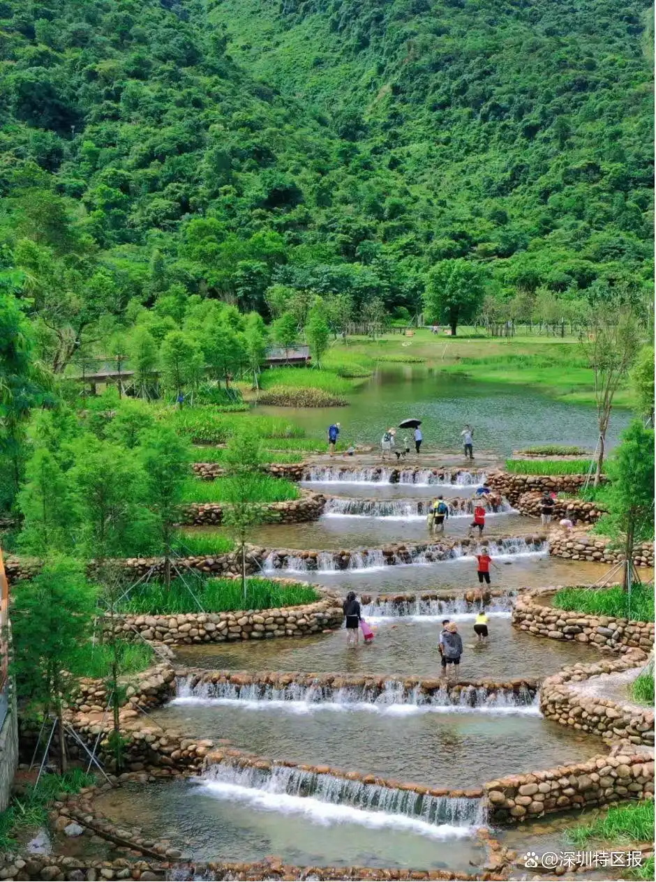 十五运坪山赛区_带你打卡十五运场馆_艺术体操比赛坪山