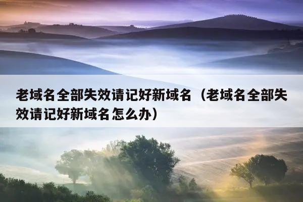 老域名全部失效请记好新域名（老域名全部失效请记好新域名怎么办）
