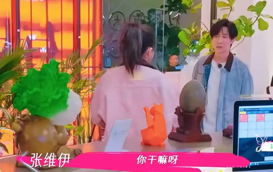 董璇张维伊综艺节目结账尴尬_董璇说不会把钱都给张维伊_张维伊经济实力直播带货