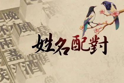 姓名配对介绍