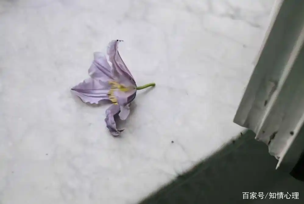 会说话情商高的男人_大器晚成的男人特征_大器晚成三大特点