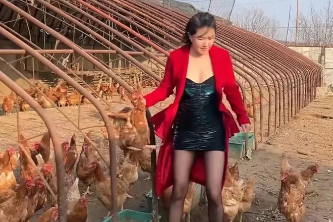 港星张暖雅农村婚姻_张暖雅全婐照片图bt_香港明星低调生活