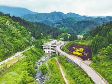 “SC0001”界碑见证大熊猫国家公园成长