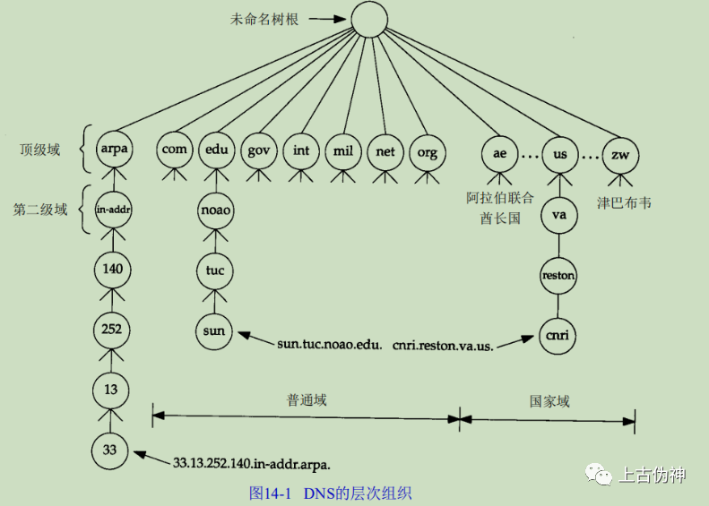 DNS域名解析系统