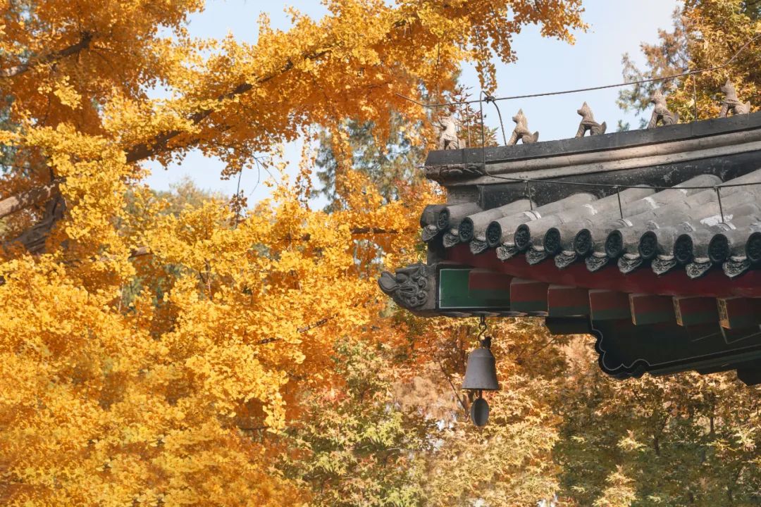 北京最值得去的10大景点_北京知名教育机构_北京旅游攻略大全