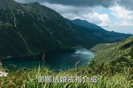 谢娜结婚戒指介绍