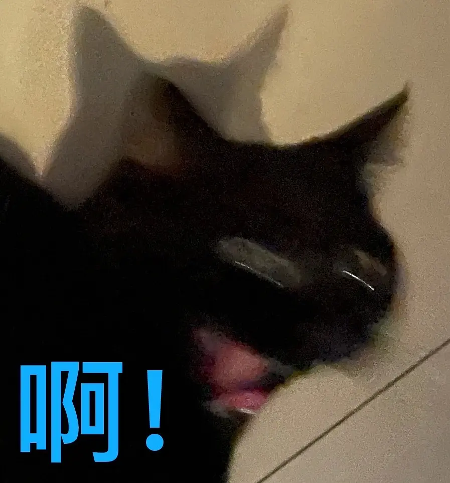 猫软便拉血原因_减肥猫_猫粮喂食量计算公式