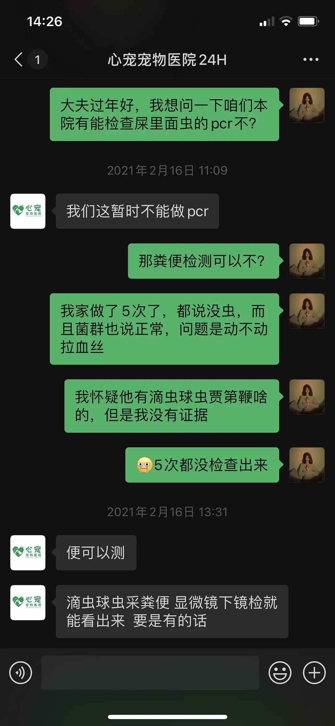 猫软便拉血原因_猫粮喂食量计算公式_减肥猫