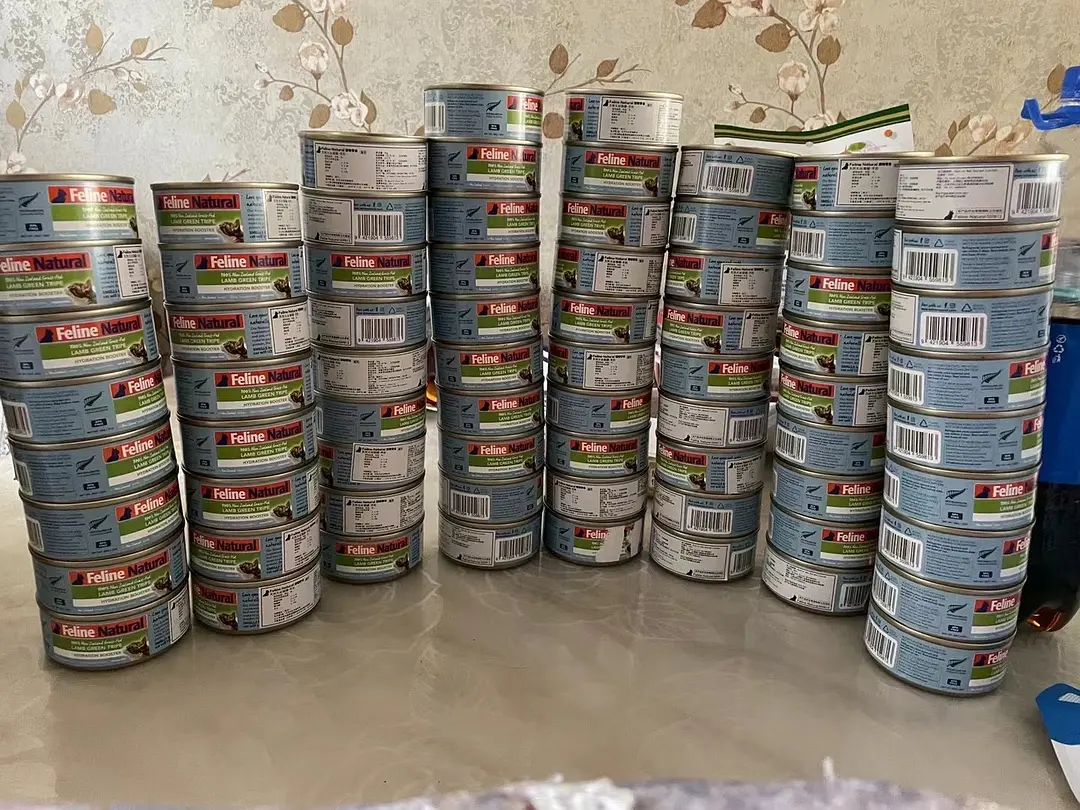 猫粮喂食量计算公式_猫软便拉血原因_减肥猫