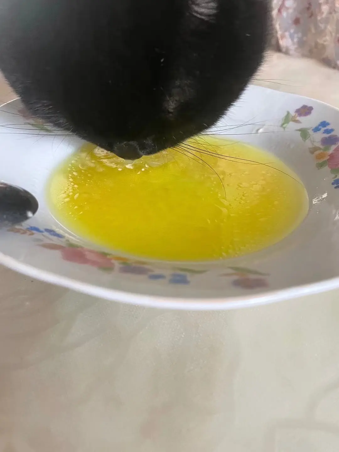 猫粮喂食量计算公式_猫软便拉血原因_减肥猫