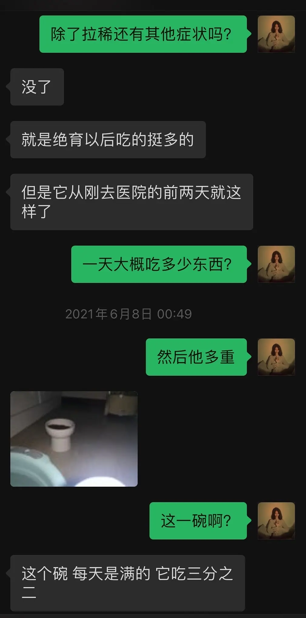 减肥猫_猫软便拉血原因_猫粮喂食量计算公式