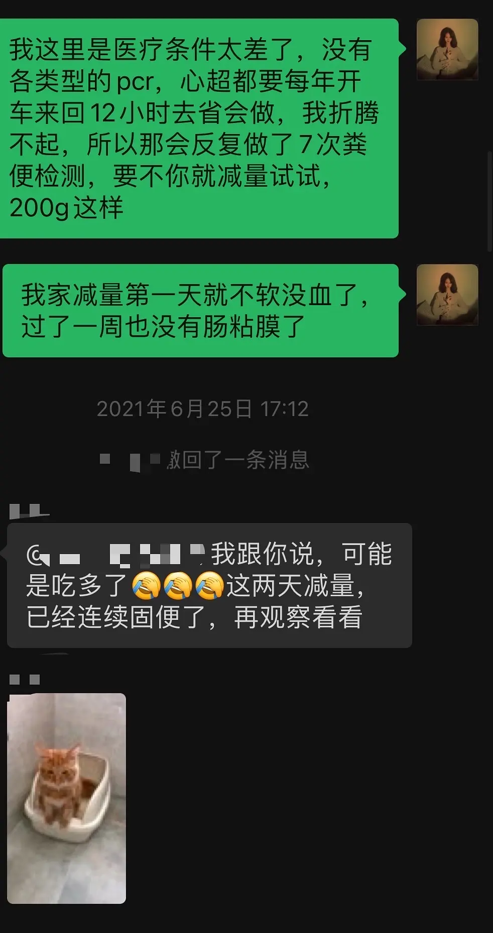 猫软便拉血原因_猫粮喂食量计算公式_减肥猫