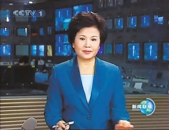 刑质斌的丈夫 邓仆方_邢质斌 央视一姐 央视国脸