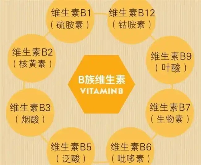 左旋肉碱高纯度产品推荐及功效分析_左旋肉碱哪个牌子纯度高效果好不伤身体_减肥药什么牌子好