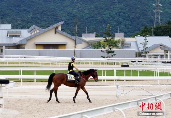 香港赛马季度收官大丰收 总投注额再破千亿港元创新高