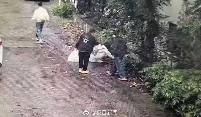 景区产权管理公示_景区回应游客捡板栗壳被说成偷东西_花果山景区板栗争议