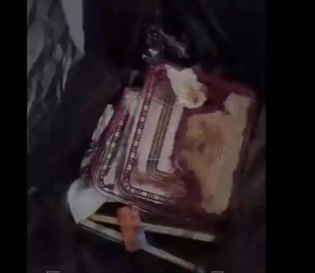 游客在内蒙古排队捡土豆 当地回应_滞留内蒙古阿拉善旅客发声_内蒙古额济纳旗滞留游客午餐事件