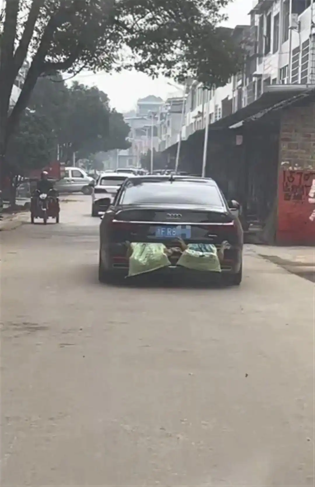 后备箱大赛涡轮增鸭_年后返程后备箱外挂着4只鸭子_返程模式开启 奔驰后备箱装满大葱