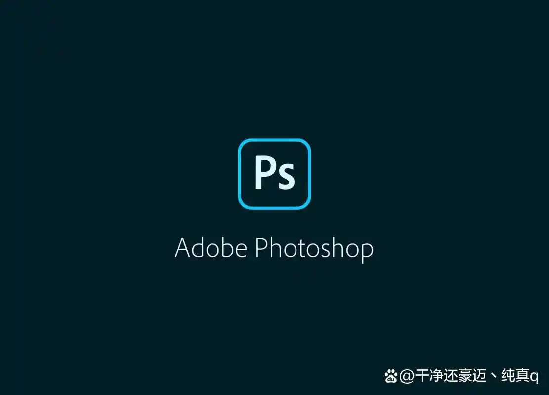 处理照片哪个软件好用？6款实用工具满足你的需求