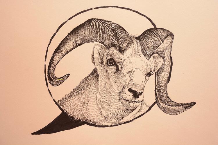 很抱歉，该网站无法打开