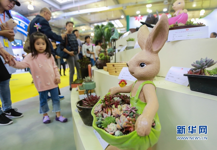 漳州新闻网 第十七届花博会_第九届海峡两岸现代农业博览会·第十九届海峡两岸花卉博览会 福建漳州花博园 果蔬轨道栽培技术