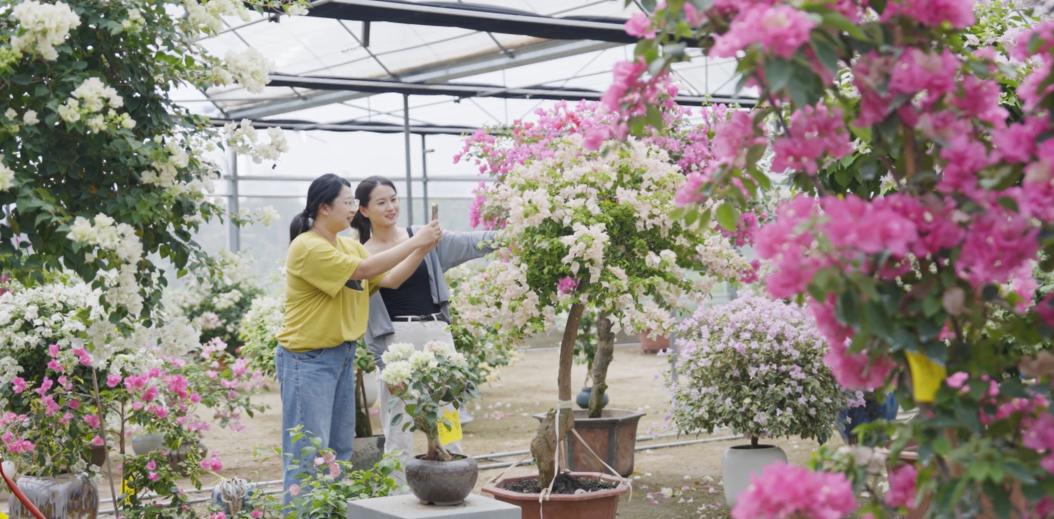 海峡两岸花卉博览会漳州_漳州新闻网 第十七届花博会_2024年海峡两岸现代农业博览会