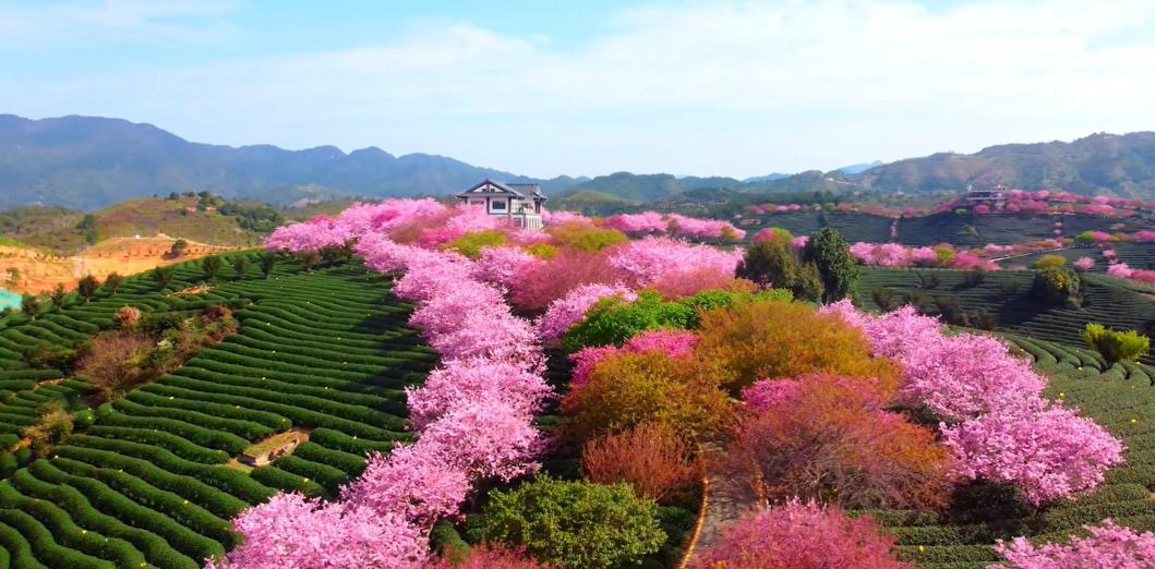 海峡两岸花卉博览会漳州_漳州新闻网 第十七届花博会_2024年海峡两岸现代农业博览会