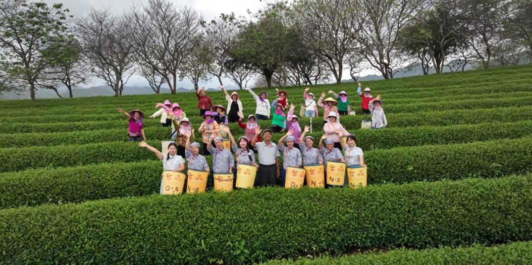 漳州新闻网 第十七届花博会_2024年海峡两岸现代农业博览会_海峡两岸花卉博览会漳州