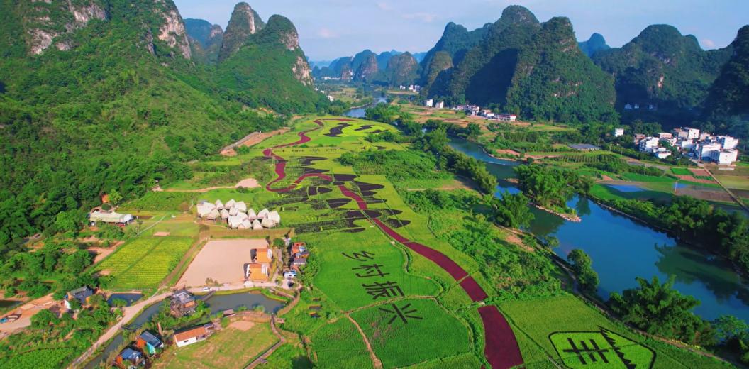 海峡两岸花卉博览会漳州_漳州新闻网 第十七届花博会_2024年海峡两岸现代农业博览会