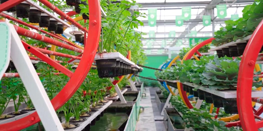 海峡两岸花卉博览会漳州_漳州新闻网 第十七届花博会_2024年海峡两岸现代农业博览会