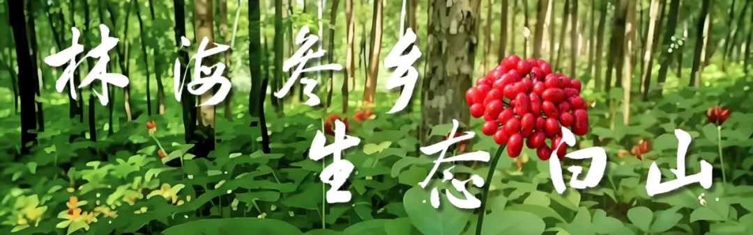 羽绒服里面，穿薄点VS穿厚点，哪个更暖和？答案出乎意料！