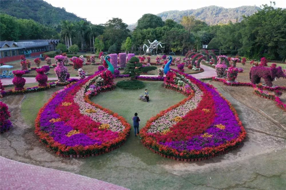 漳州新闻网 第十七届花博会_海峡两岸现代农业博览会 第二十一届海峡两岸花卉博览会 海峡两岸农博会•花博会发展历程