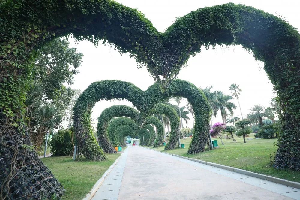 漳州新闻网 第十七届花博会_海峡两岸现代农业博览会 第二十一届海峡两岸花卉博览会 海峡两岸农博会•花博会发展历程