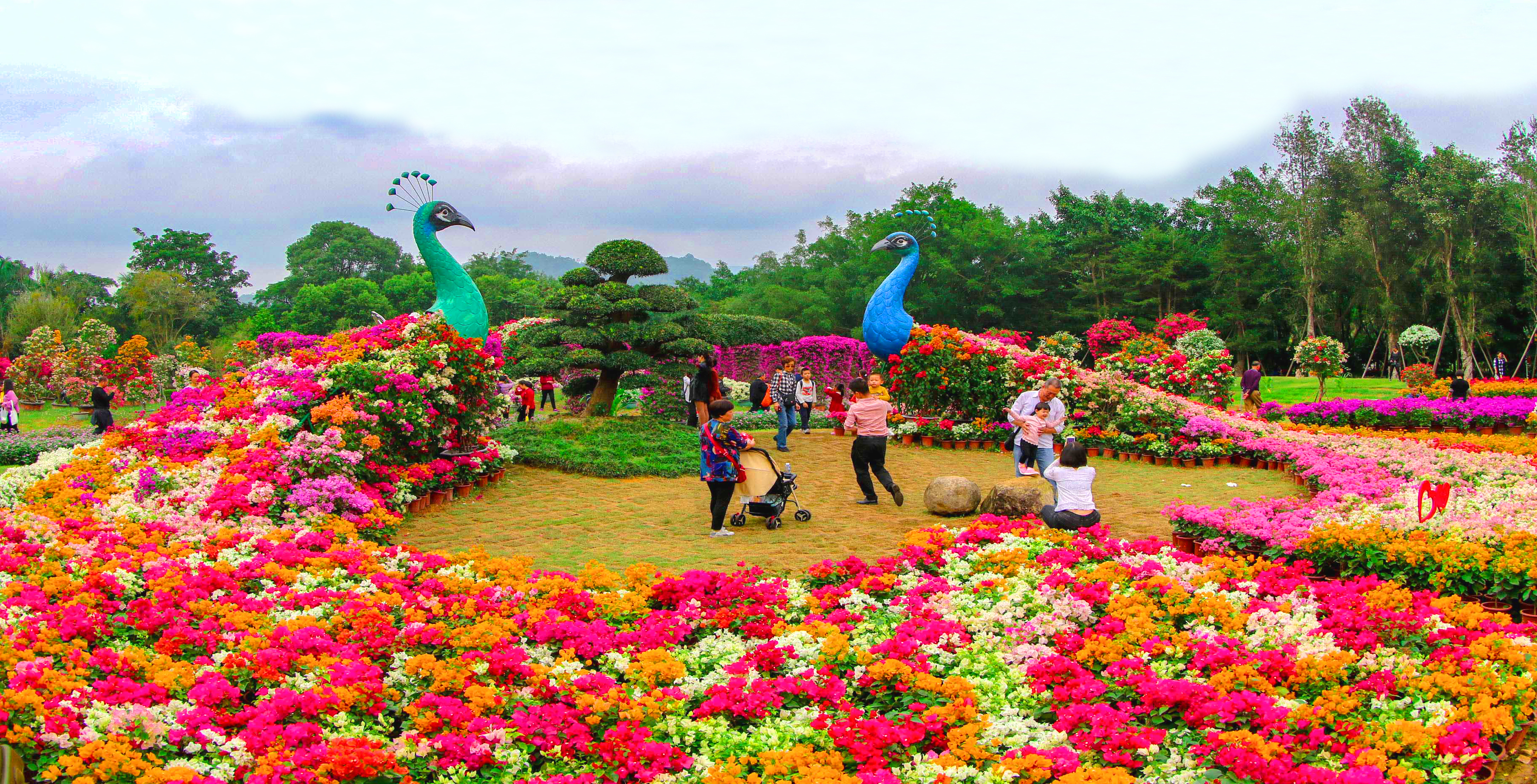 海峡两岸现代农业博览会·海峡两岸花卉博览会 漳州市 东南花都花博园_漳州新闻网 第十七届花博会