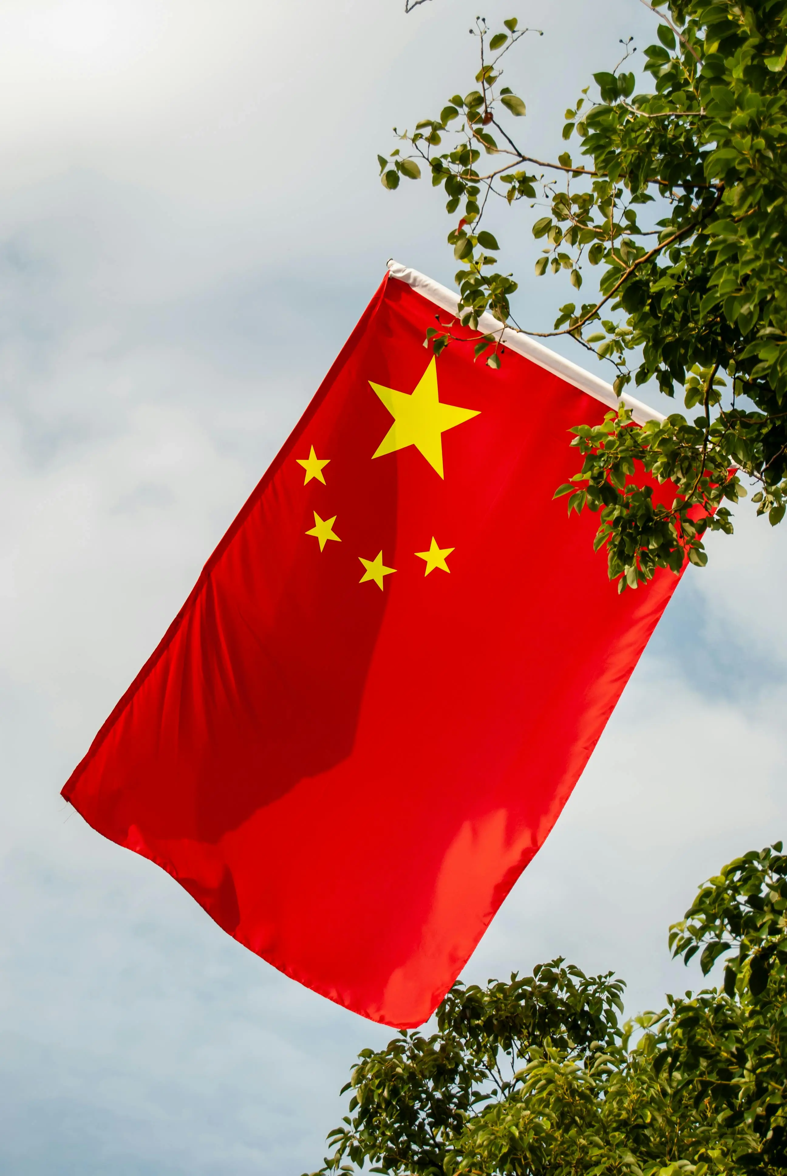 第82届威尼斯电影节发布《日掛中天》剧照，入围主竞赛单元，广州取景引发热议