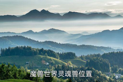 魔兽世界灵魂兽位置