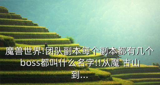 魔兽世界!团队副本每个副本都有几个boss都叫什么名字!!从魔 古山到...
