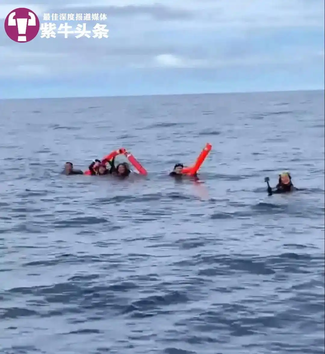 中国游客帕劳潜水事故_中国游客在帕劳潜水像下饺子_帕劳潜水失联事件