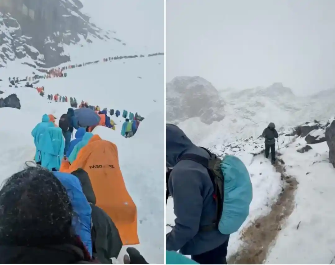 珠峰东坡暴雪救援_珠峰暴雪 向导一人一狗带上百人撤离_珠峰徒步遇暴雪经历
