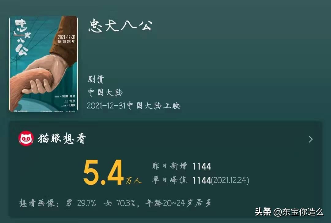 12月底电影推荐_什么最近新上的电影？_雄狮少年影评
