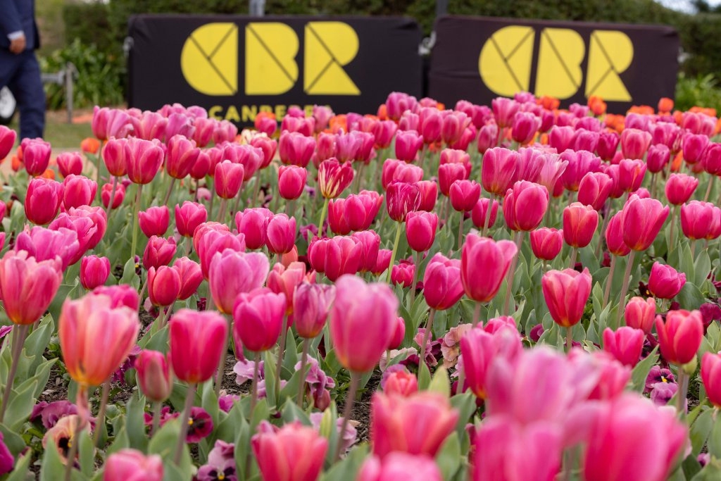 广东海南防范台风桦加沙_福建舰弹射舰载机_航拍福建舰夜泊军港