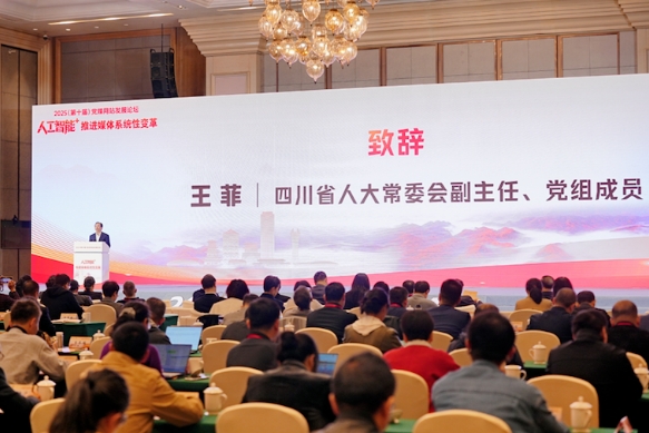 地方新闻网站需要什么手续_人工智能+媒体系统性变革_党媒网站发展论坛