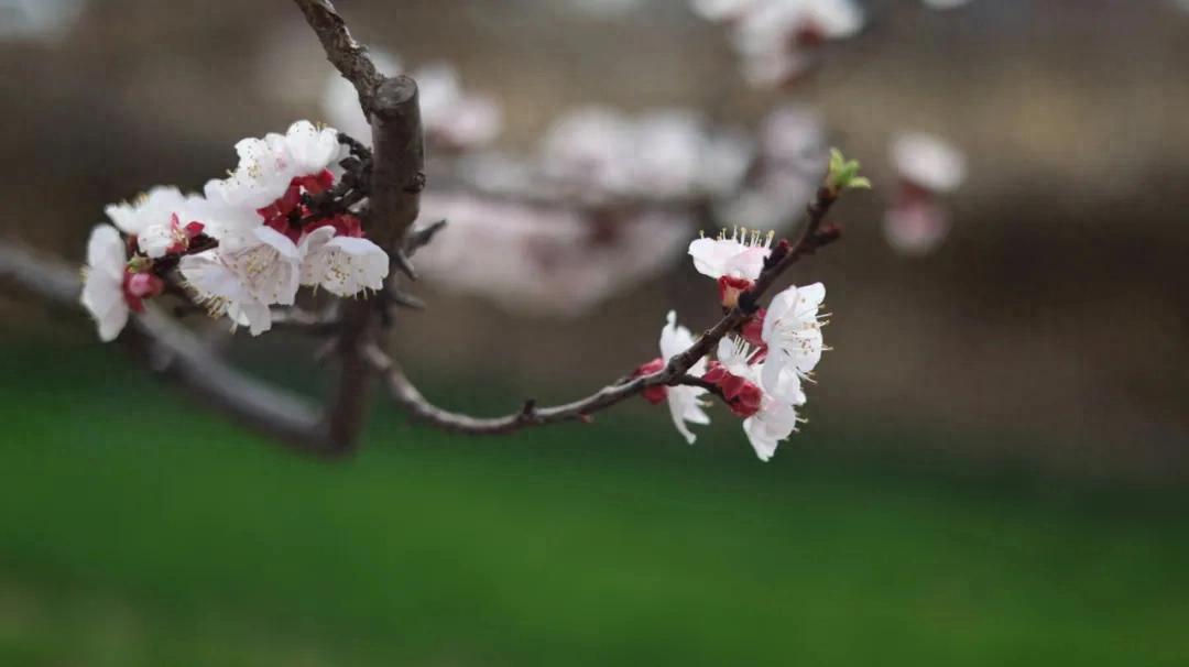 农信文苑丨浅谈新闻写作