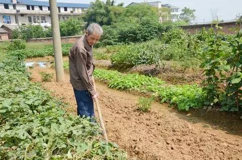 微时代媒体传播创新_正能量新闻传播规律_新闻消息写作300字