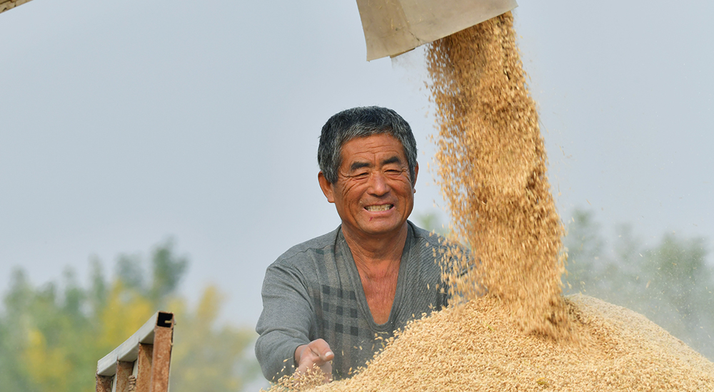 推动高质量发展 河北省新闻发布会 京津冀协同发展_人民网河北