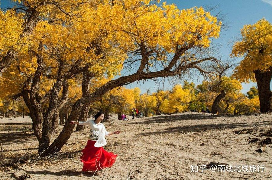 新疆南北疆景点推荐_新疆比较大的论坛网站_新疆南北疆旅游路线