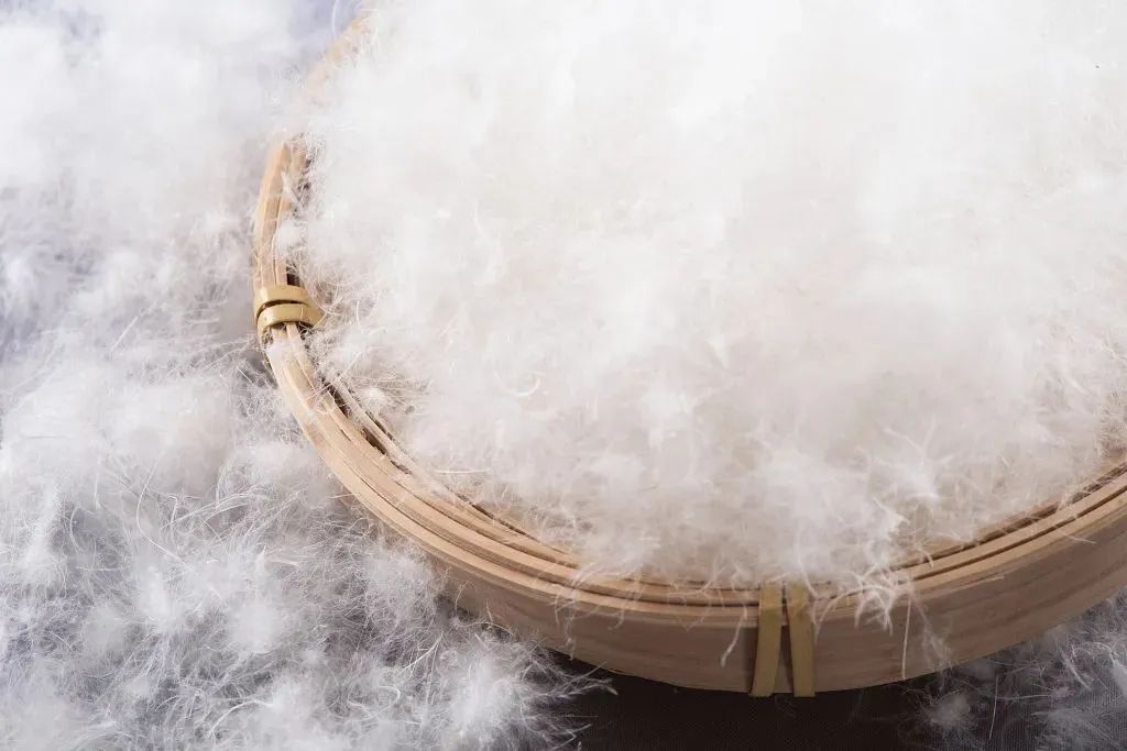 羽绒服机洗不爆炸_羽绒服机洗可能爆炸？这些年都穿错了_干洗羽绒服注意事项