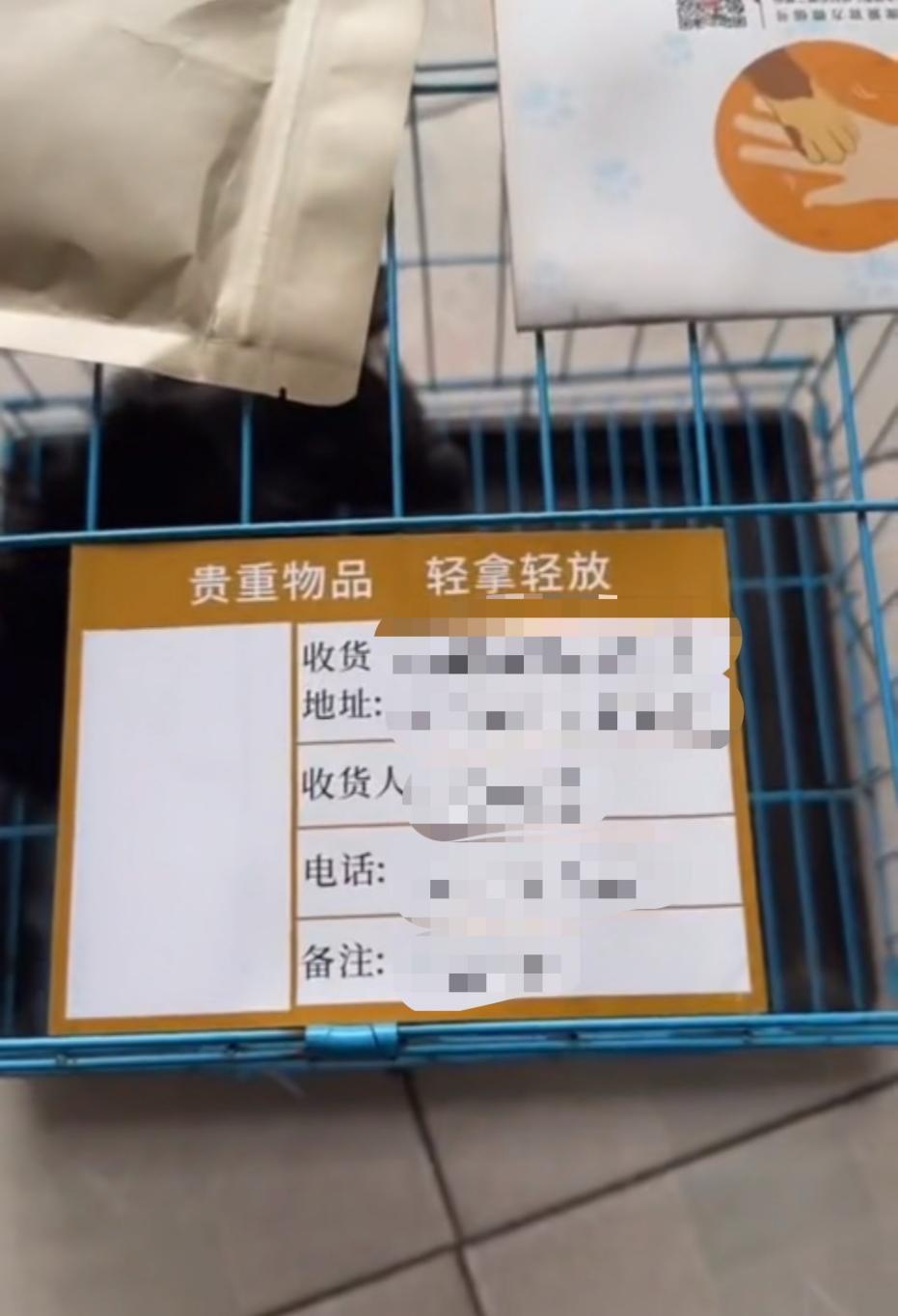 直播间购买宠物骗局_直播买狗被骗维权_网络上刷信誉是真的吗