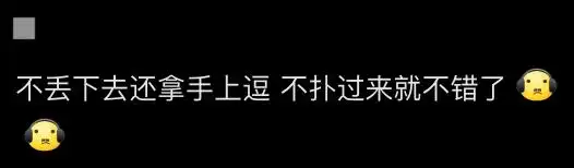 自驾西藏投喂藏马熊事件_藏马熊攻击力与危险性分析_西藏一县有垃圾场现大量藏马熊觅食
