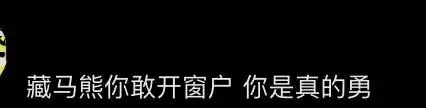 西藏一县有垃圾场现大量藏马熊觅食_藏马熊攻击力与危险性分析_自驾西藏投喂藏马熊事件